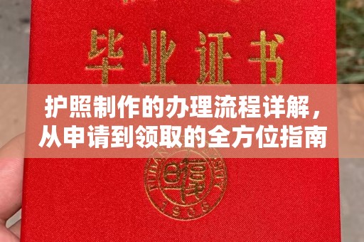 桂平护照制作的办理流程详解，从申请到领取的全方位指南