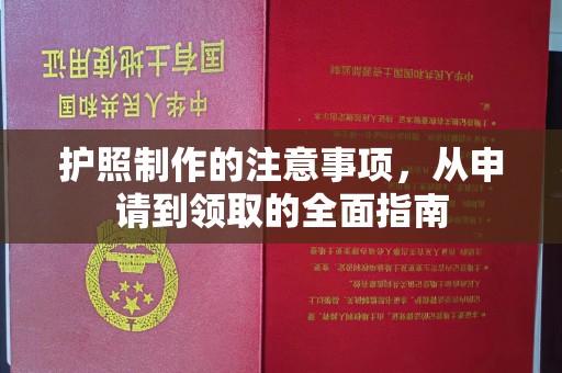桂平护照制作的注意事项，从申请到领取的全面指南